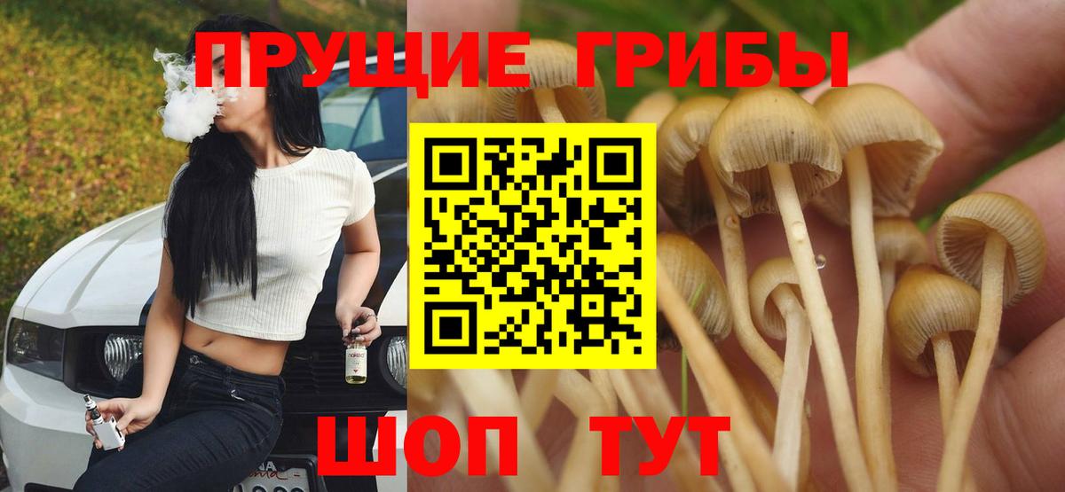 Галлюциногенные грибы MAGIC MUSHROOMS Карталы